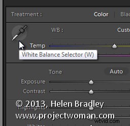 Master White Balance in Lightroom: Ultimate Step-by-Step Guide