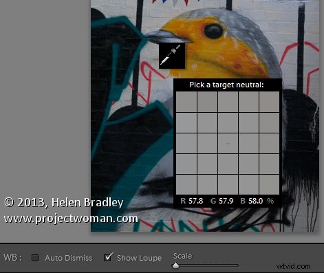 Master White Balance in Lightroom: Ultimate Step-by-Step Guide