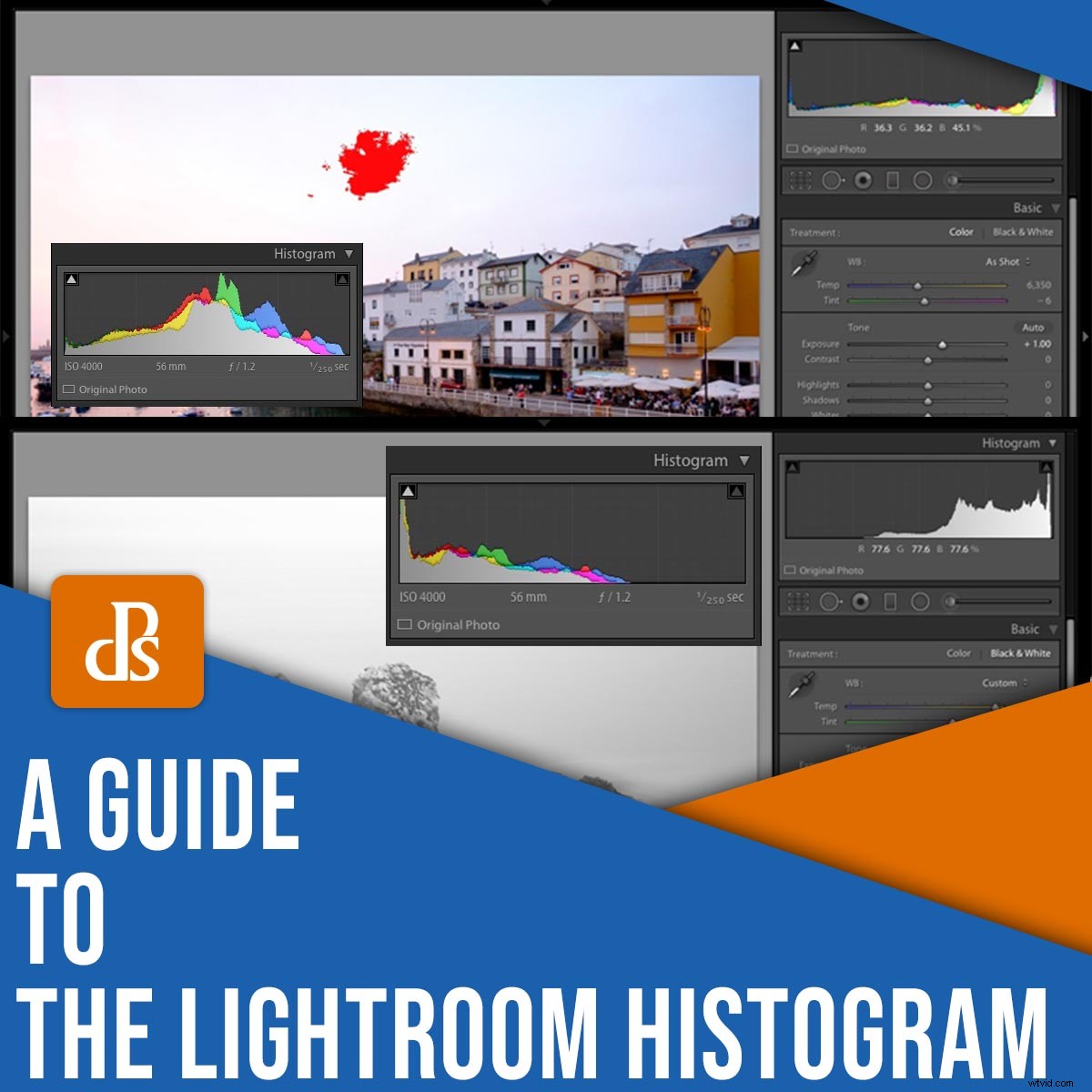 Master the Lightroom Histogram: Your Essential Practical Guide