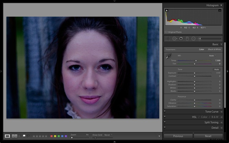 Master the Lightroom Histogram: Your Essential Practical Guide