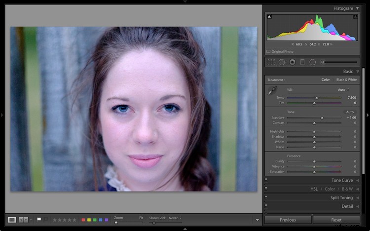 Master the Lightroom Histogram: Your Essential Practical Guide
