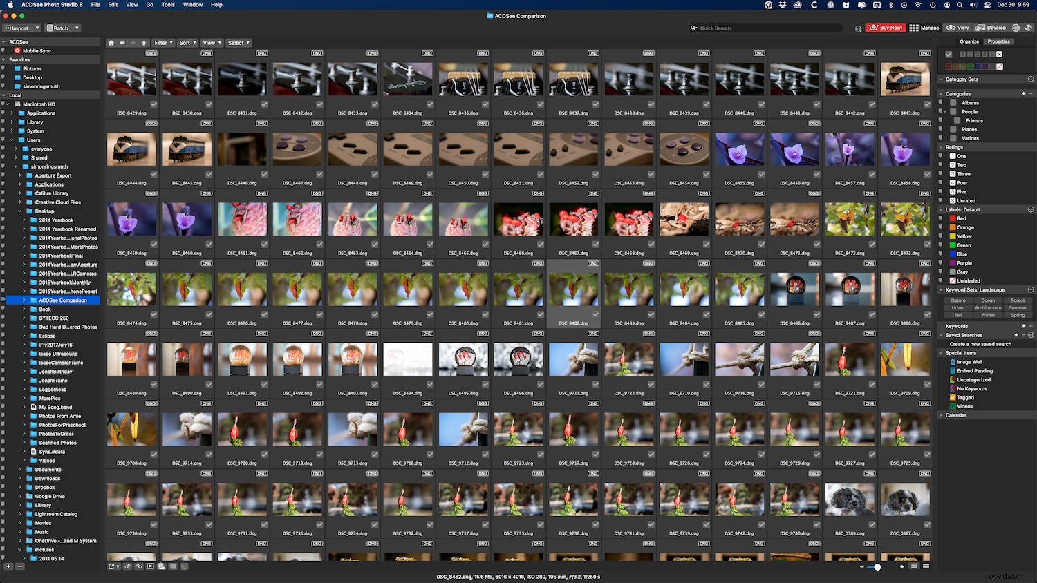 Lightroom Classic vs ACDSee Photo Studio: Which Photo Editor is Best for You?