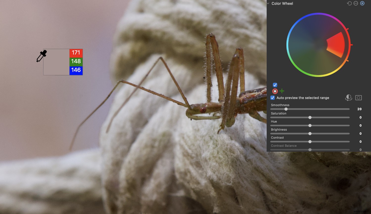 Lightroom Classic vs ACDSee Photo Studio: Which Photo Editor is Best for You?