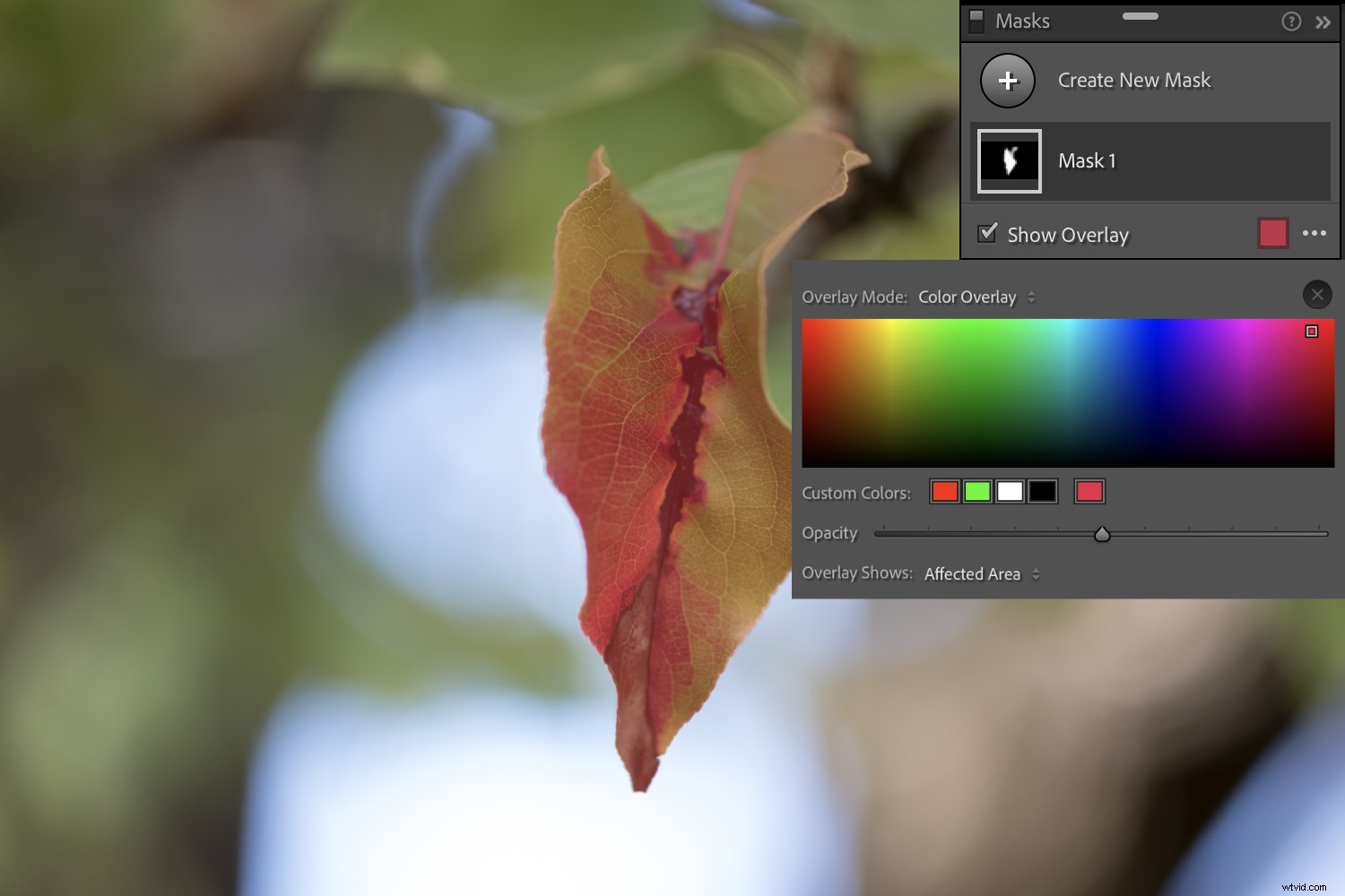 Master Lightroom s New Masking Tools: Complete Guide to Adaptive Features