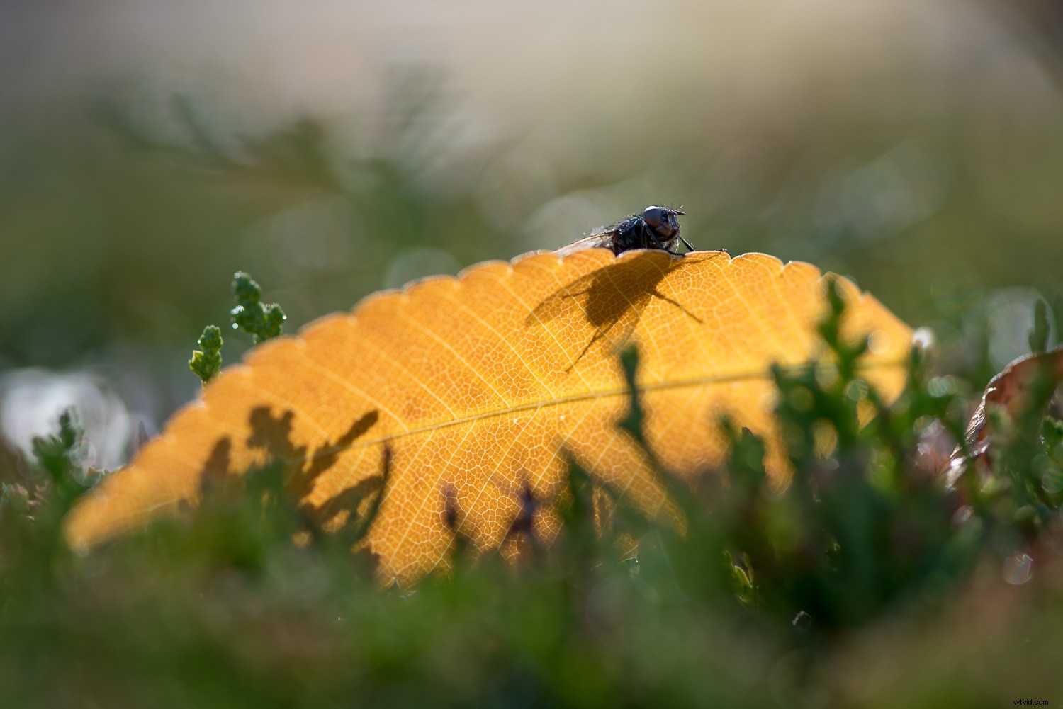 Master Lightroom s New Masking Tools: Complete Guide to Adaptive Features