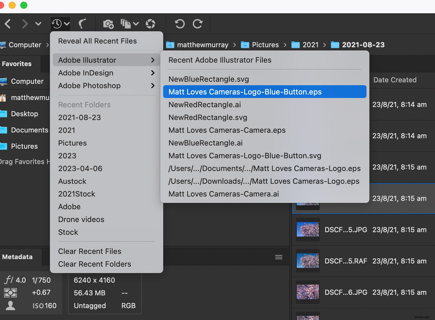 Lightroom Classic vs. Adobe Bridge: Ultimate Comparison & Which to Choose in 2024