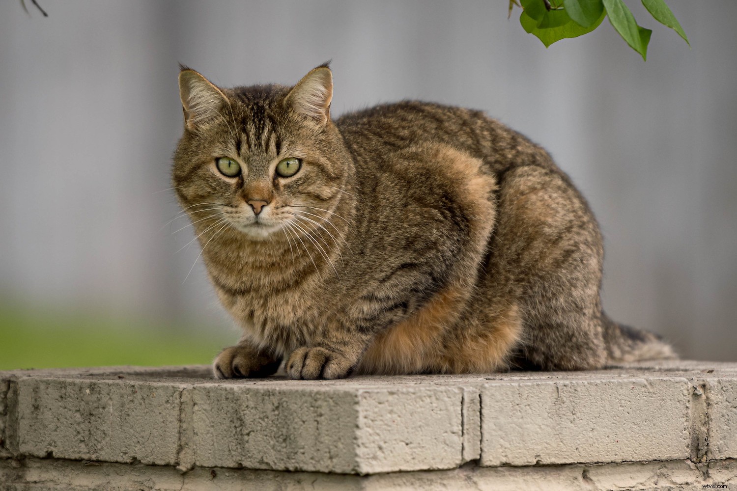 Lightroom Super Resolution: The Ultimate Guide to 4x Image Upscaling