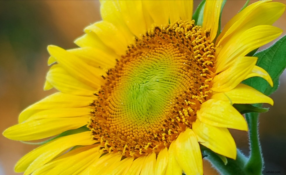 Lightroom Super Resolution: The Ultimate Guide to 4x Image Upscaling