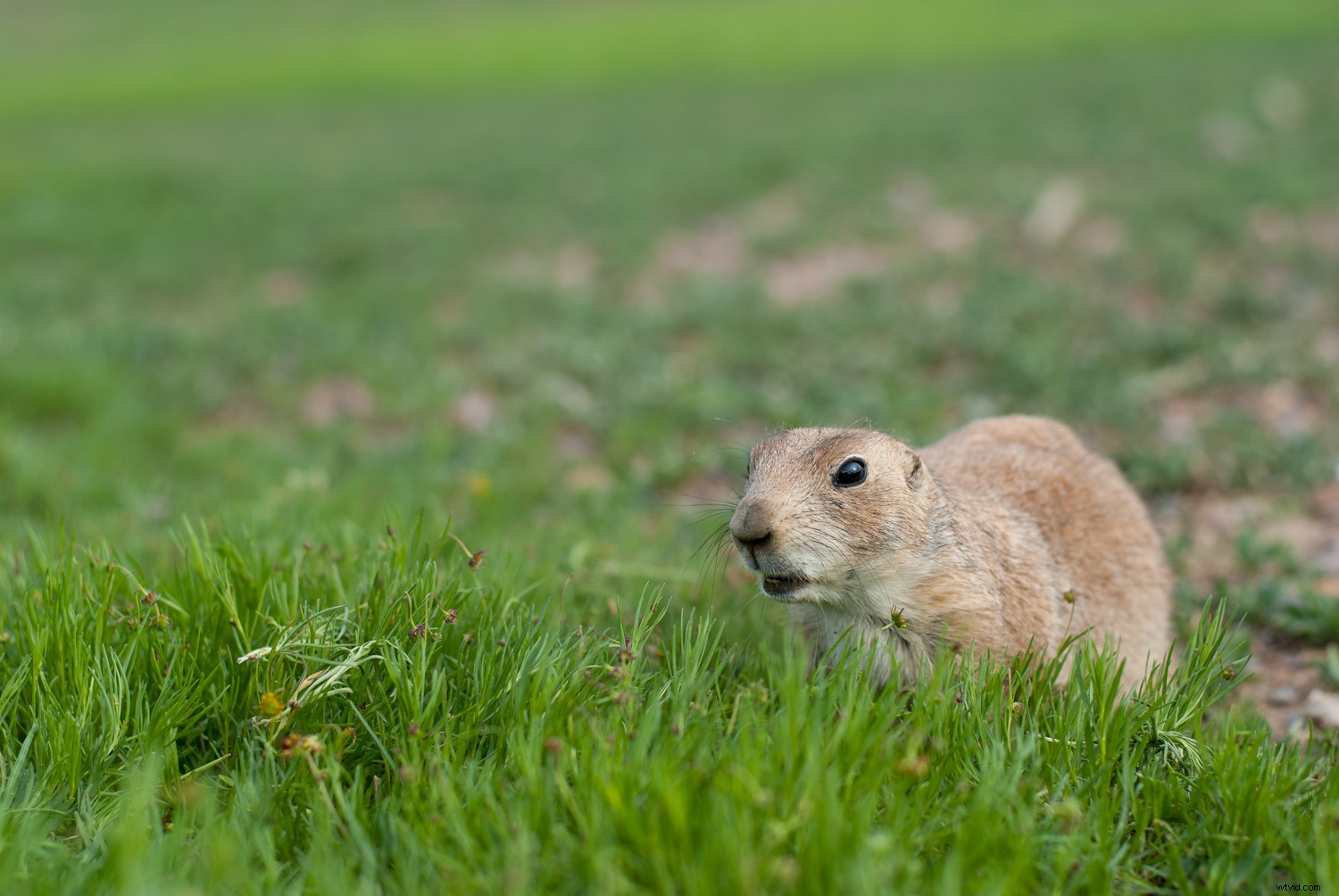 Lightroom Super Resolution: The Ultimate Guide to 4x Image Upscaling