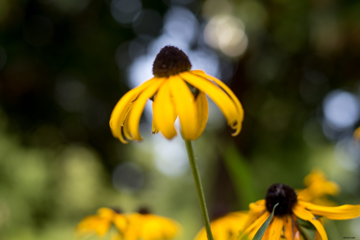 Lightroom Super Resolution: The Ultimate Guide to 4x Image Upscaling