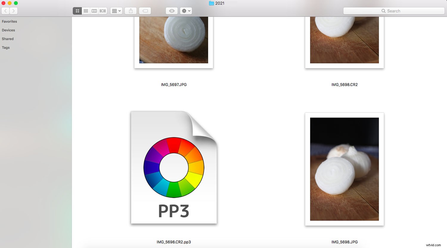 Adobe Lightroom vs. RawTherapee: Ultimate Comparison to Choose Your Ideal Photo Editor