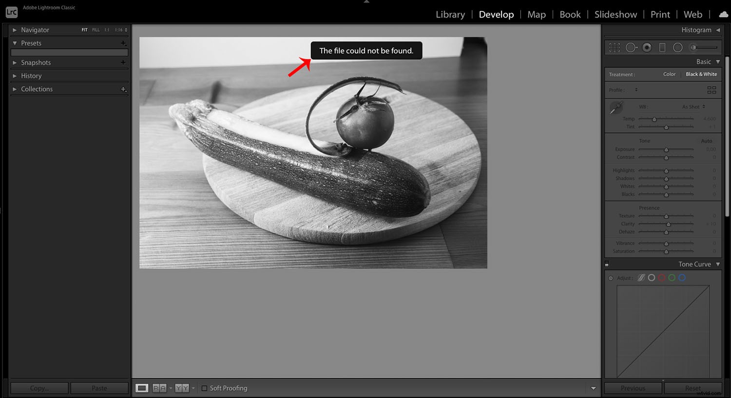 Adobe Lightroom vs. RawTherapee: Ultimate Comparison to Choose Your Ideal Photo Editor