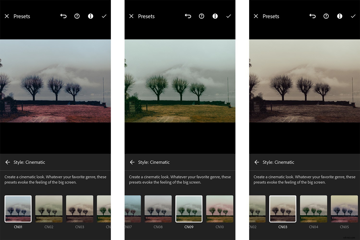 13 Best Cinematic Lightroom Presets for 2024: Stunning Film-Like Edits