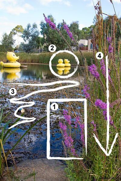 Master Rapid Photo Composition: Compose Stunning Shots in Seconds