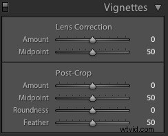 Vignettes 101: Mastering Edge Effects in Photography