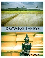 Top 10 Must-Read Photography E-Books for Every Skill Level