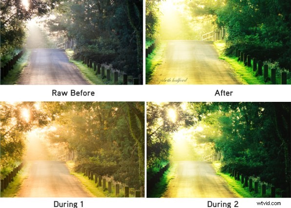 Doublemint: Two Captivating Edits of the Same Vibrant Green Scene