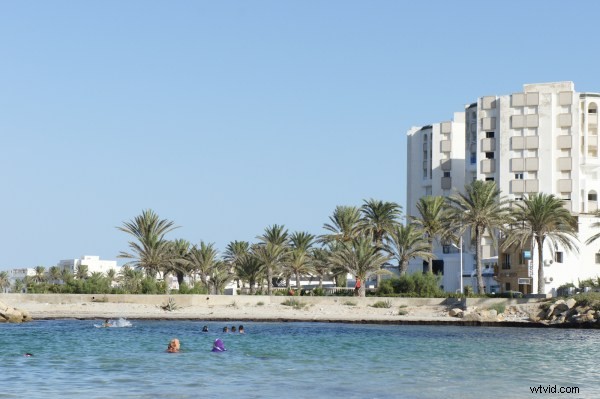 Sony NEX-5 Review: Compact Mirrorless Powerhouse for Everyday Photography