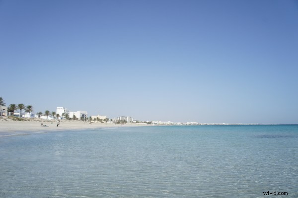 Sony NEX-5 Review: Compact Mirrorless Powerhouse for Everyday Photography