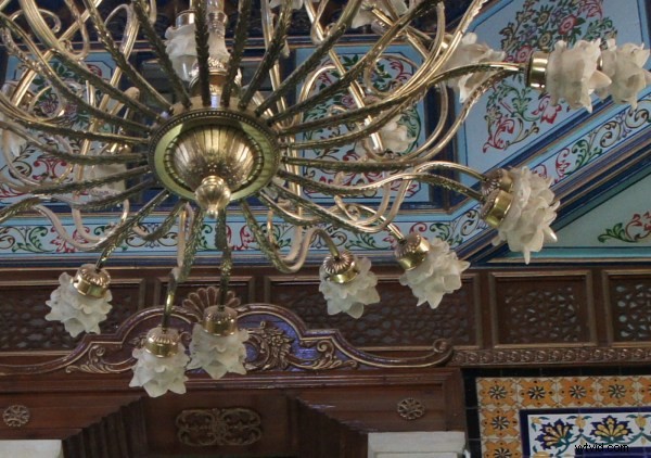 Sony NEX-5 Review: Compact Mirrorless Powerhouse for Everyday Photography