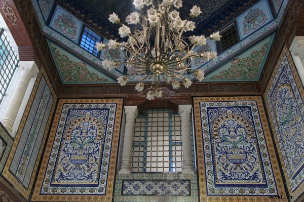 Sony NEX-5 Review: Compact Mirrorless Powerhouse for Everyday Photography