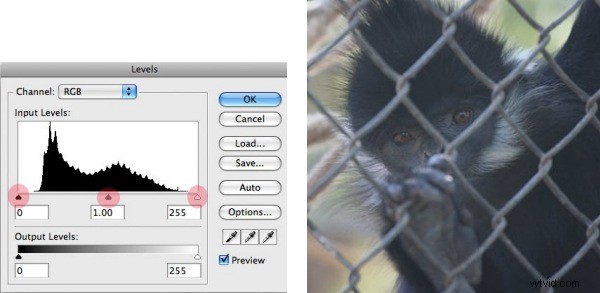 How to Fix Underexposed & Overexposed Photos with Photoshop Levels