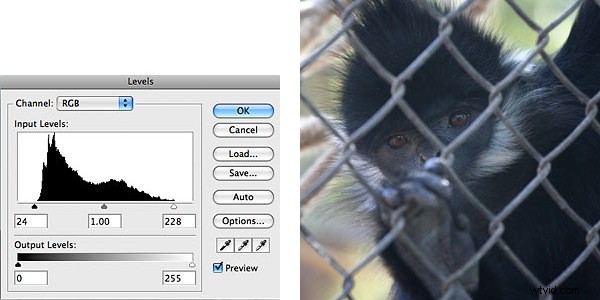 How to Fix Underexposed & Overexposed Photos with Photoshop Levels