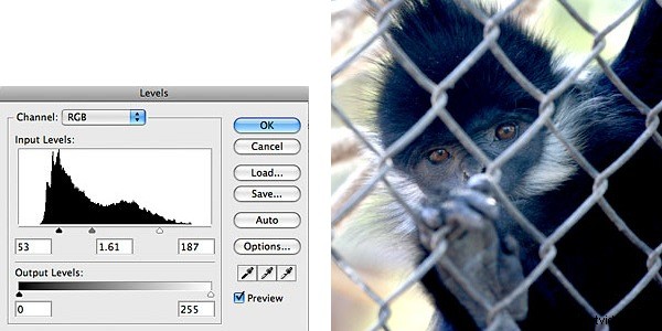 How to Fix Underexposed & Overexposed Photos with Photoshop Levels