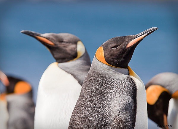 Mastering File Archiving: The Efficient Bucket System Strategy