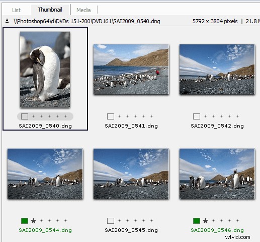 Mastering File Archiving: The Efficient Bucket System Strategy