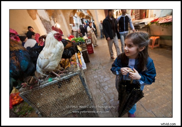 Master 1/20th Second Shutter Speeds: 15 Stunning Examples for Creative Blur and Low-Light Mastery