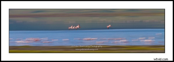 Master 1/20th Second Shutter Speeds: 15 Stunning Examples for Creative Blur and Low-Light Mastery