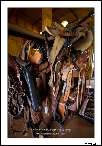 Master 1/20th Second Shutter Speeds: 15 Stunning Examples for Creative Blur and Low-Light Mastery