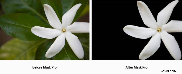 onOne Perfect Photo Suite Review: Elevate Your Photography + Exclusive $100 Discount