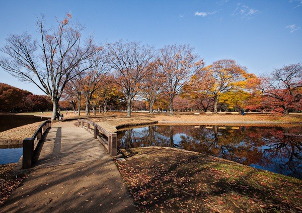 Canon 16-35mm f/2.8L II USM: Stunning Visual Tour and Key Specs