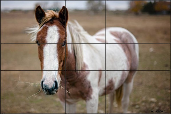 Master Divine Composition: Fibonacci s Golden Ratio Supercharges the Rule of Thirds