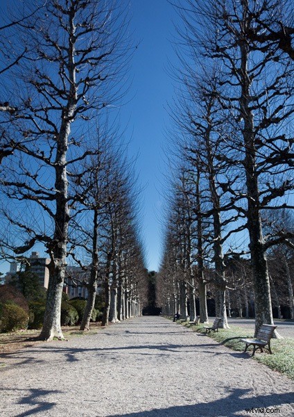 Canon 16-35mm f/2.8L II USM: Stunning Visual Tour and Key Specs