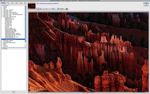 Achieve Authentic Film Looks: Transform Digital Photos with Alien Skin Exposure