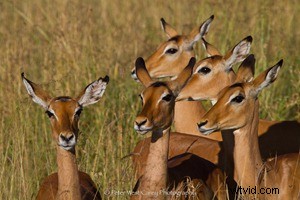 7 Expert Tips for Captivating Travel Photos That Wow Everyone