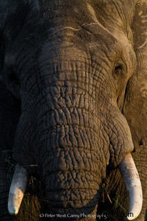 7 Expert Tips for Captivating Travel Photos That Wow Everyone