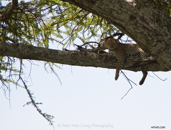 7 Expert Tips for Captivating Travel Photos That Wow Everyone