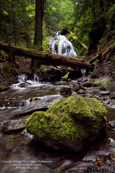 Singh-Ray Vari-N-Duo Filter: Pros, Cons, and Real-World Performance