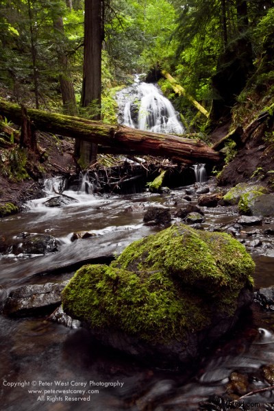 Singh-Ray Vari-N-Duo Filter: Pros, Cons, and Real-World Performance