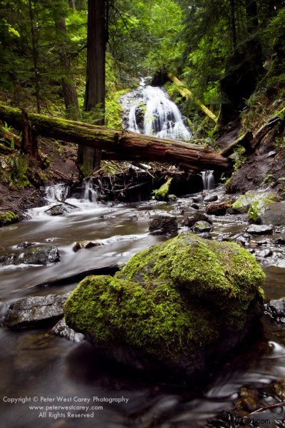 Singh-Ray Vari-N-Duo Filter: Pros, Cons, and Real-World Performance