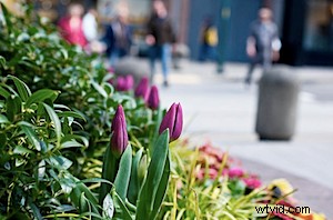 Street Photography for Beginners: Essential Tips to Get Started Confidently