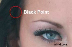 Master Color Correction: Photoshop Curves Eyedropper Technique