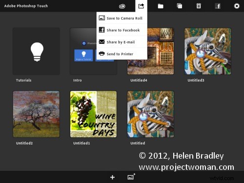 Adobe Photoshop Touch for iPad: Professional Photo Editing on the Go