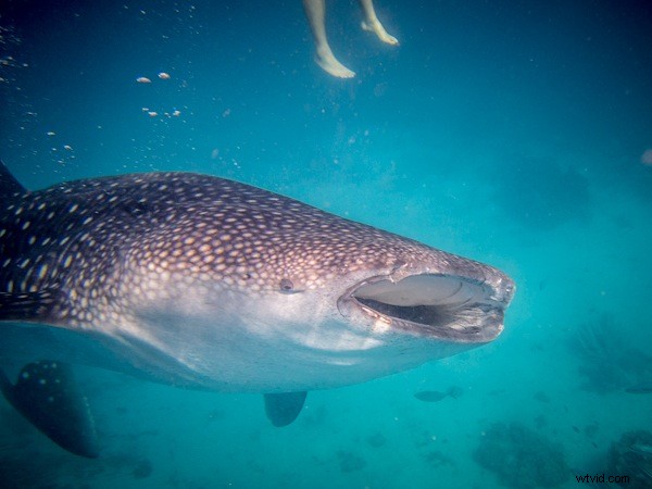 Essential Photography Gear Packing Guide for a Year-Long World Trip