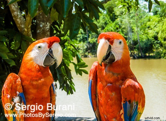 Peru Travel Photography Inspiration: Stunning Reader Images & Expert Tips