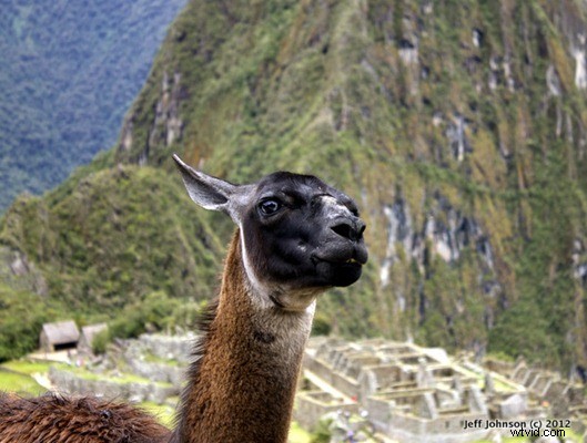 Peru Travel Photography Inspiration: Stunning Reader Images & Expert Tips